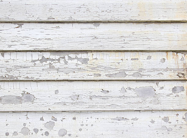 Affordable Siding Repair and Maintenance Services in Joplin, MO